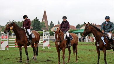 gina hanauer güstrow