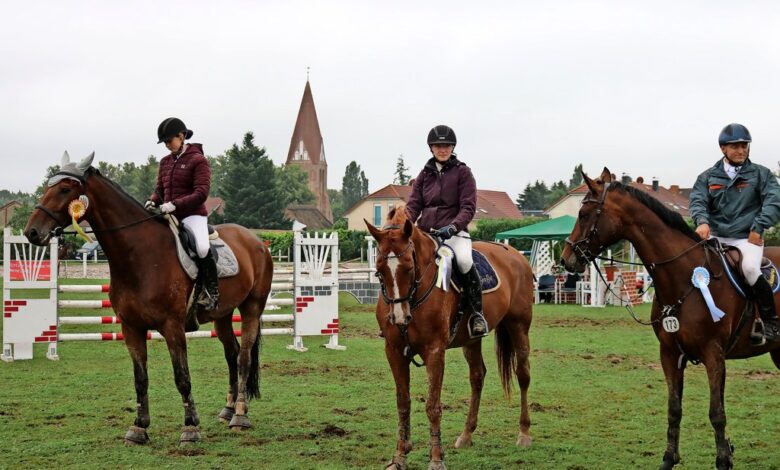 gina hanauer güstrow